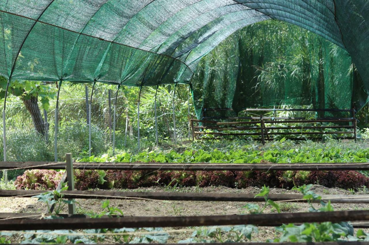 Honigtal Farmland Κατάλυμα σε φάρμα
