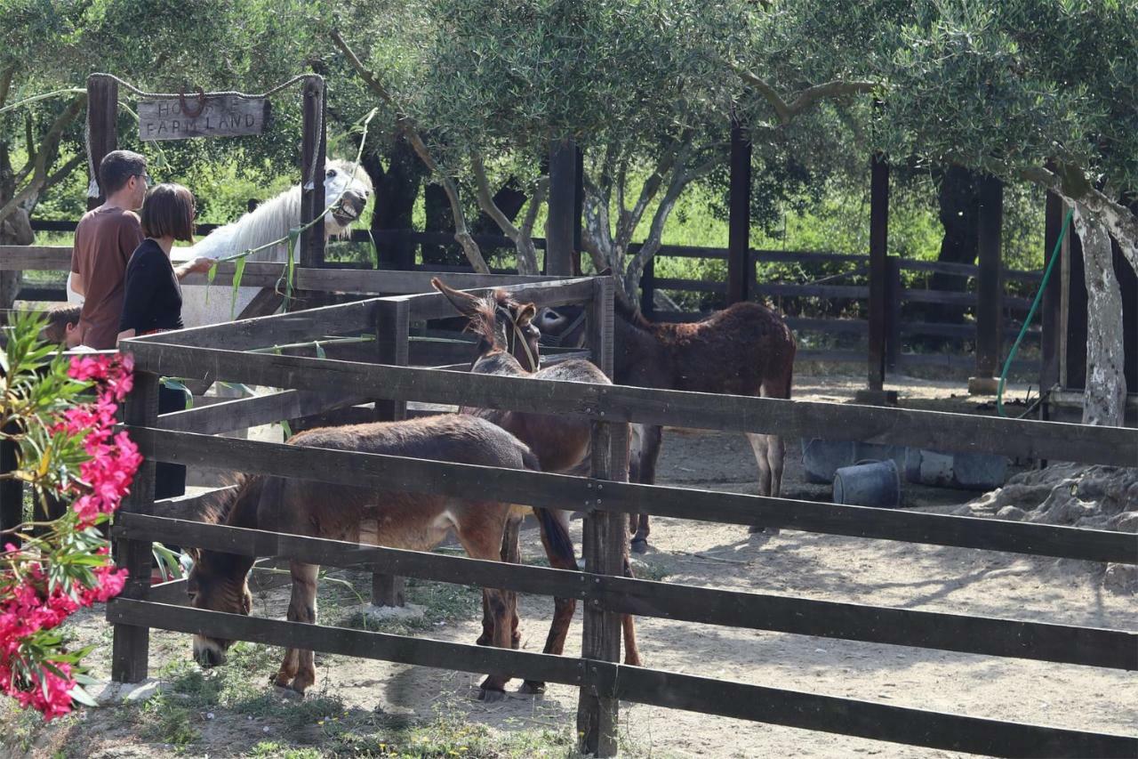 Κατάλυμα σε φάρμα Honigtal Farmland