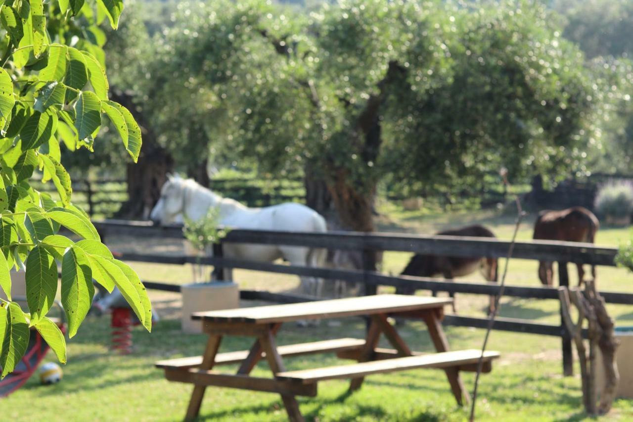 Honigtal Farmland * Agios Georgios Pagon